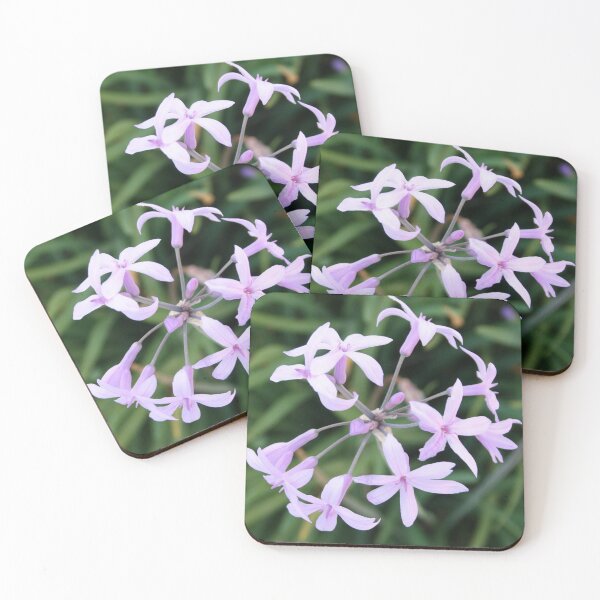 Item preview, Wild Garlic Mauve Cluster Close Up Photograph designed and sold by taiche.