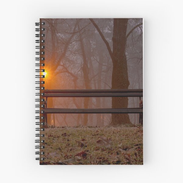 Item preview, Bench in foggy forrest park in Subotica, Serbia designed and sold by nikola993.