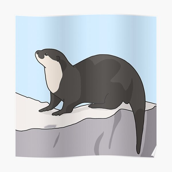 Loutre Posters Redbubble Loutre Posters Redbubble