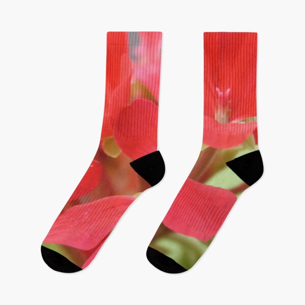 Item preview, Red Geranium Close Up Against Green and Grey designed and sold by taiche.