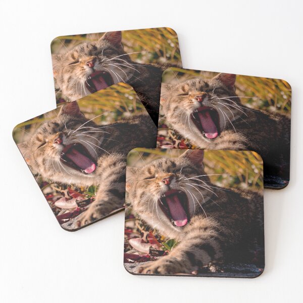 Item preview, Kitty designed and sold by PeterMunz.