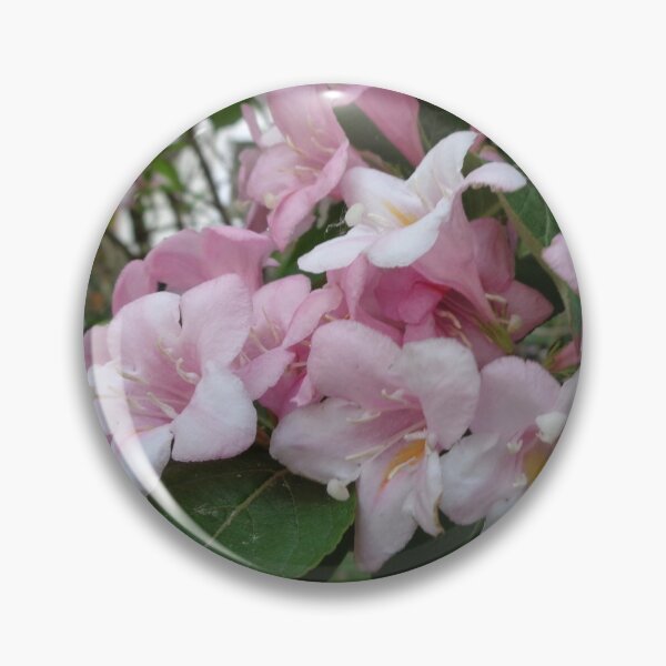 Item preview, Abelia grandiflora designed and sold by Ana Belaj.