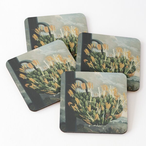 Item preview, American Agave Century Plant (1807) designed and sold by HomeStageStudio.