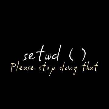 Artwork thumbnail, setwd() please stop doing that - R programming - R packages by Birdhead