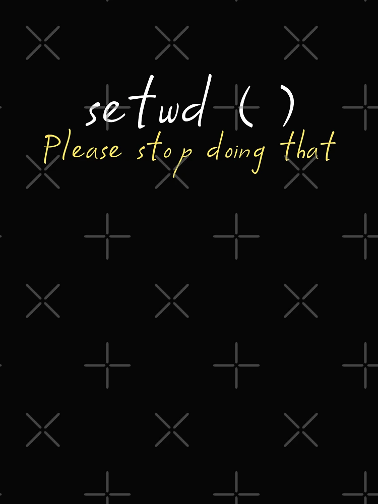 Thumbnail 4 of 4, Boxy T-Shirt, setwd() please stop doing that - R programming - R packages designed and sold by Birdhead.