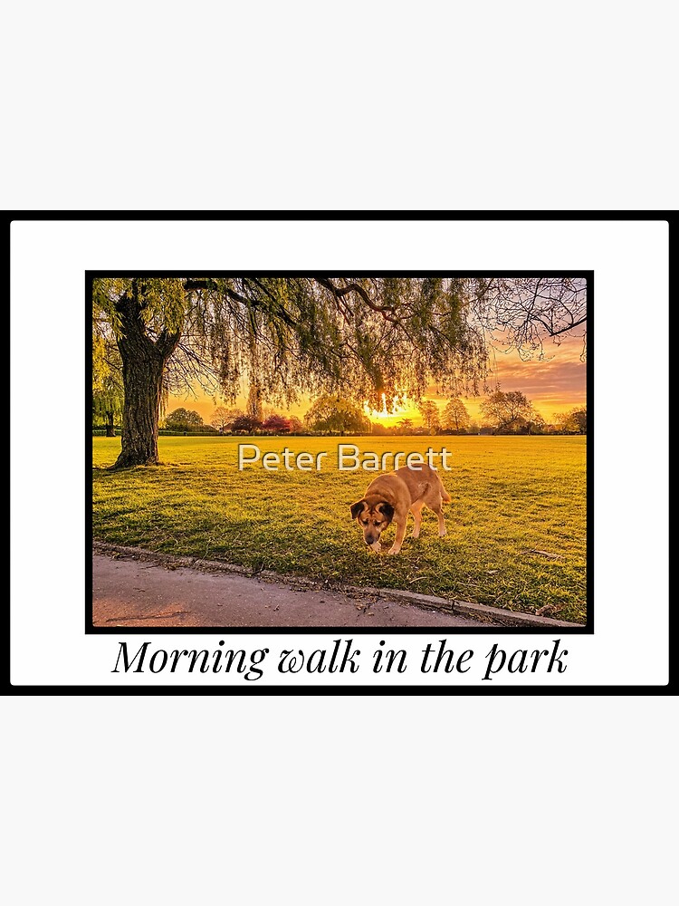 Morning walk in the park by hartrockets