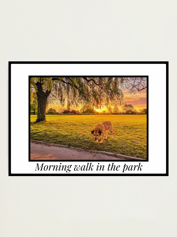 Alternate view of Morning walk in the park Photographic Print
