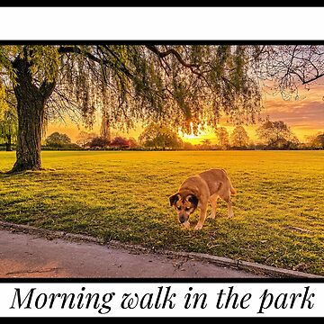 Artwork thumbnail, Morning walk in the park by hartrockets