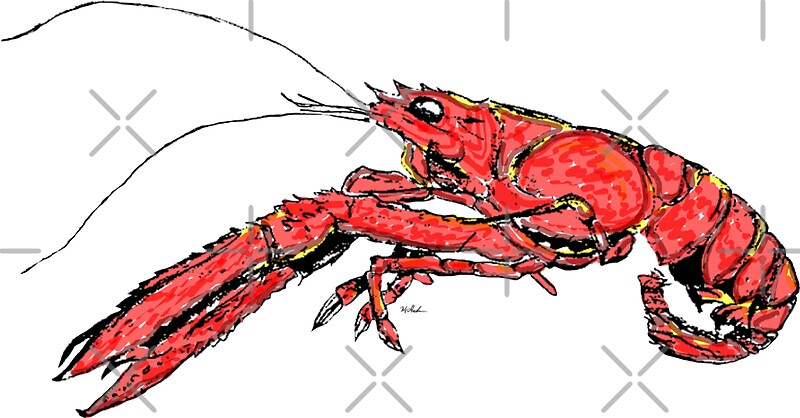 Crawfish: Stickers | Redbubble