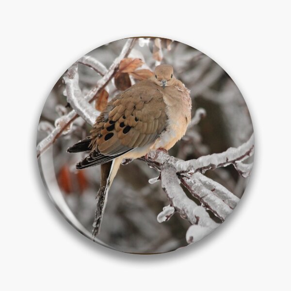 Item preview, Mourning Dove in the Ice Storm designed and sold by JMcCombie.