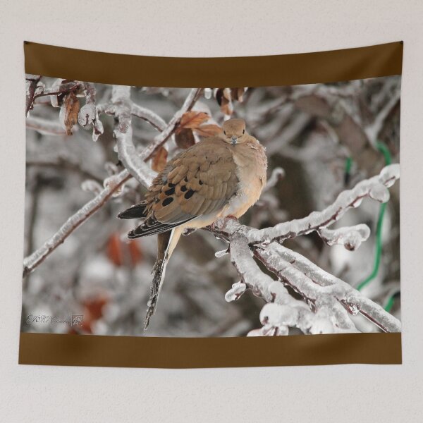 Item preview, Mourning Dove in the Ice Storm designed and sold by JMcCombie.