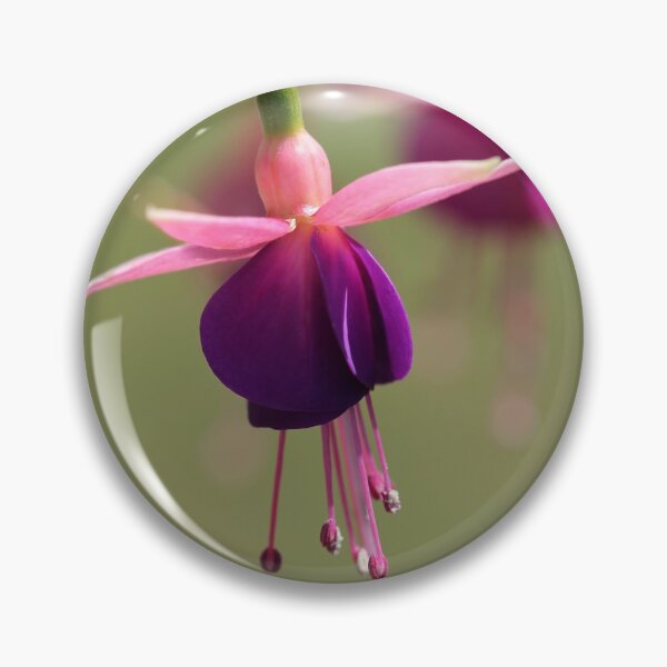 Item preview, Fuchsia named Lambada designed and sold by JMcCombie.