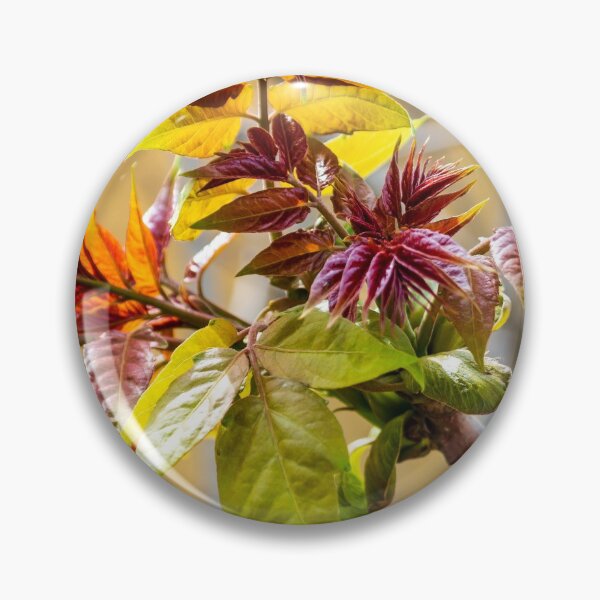 Item preview, spring shoots in full colour  designed and sold by stuart atton.