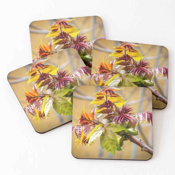 Item preview, spring shoots in full colour  designed and sold by stuart atton.