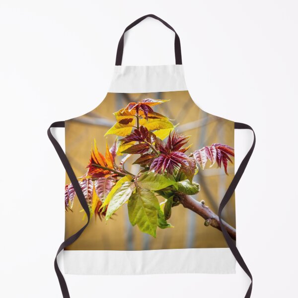 Item preview, spring shoots in full colour designed and sold by stuart atton.