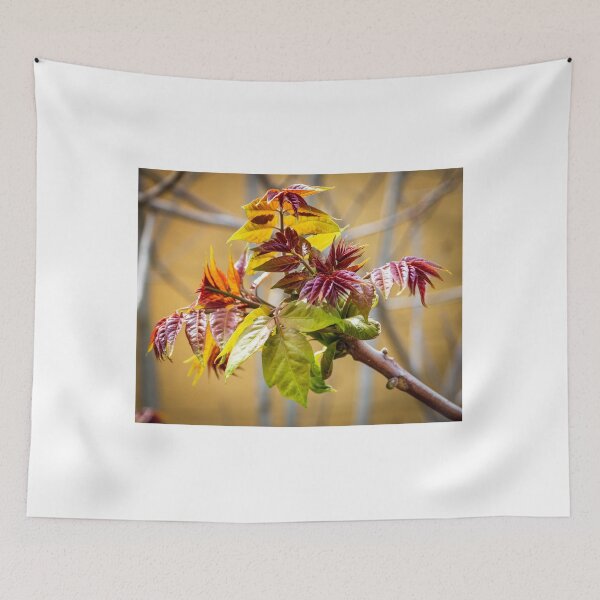 Item preview, spring shoots in full colour  designed and sold by stuart atton.