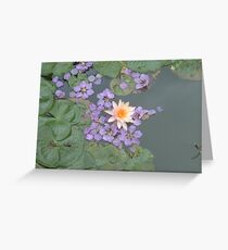 Lotus Flower Greeting Card