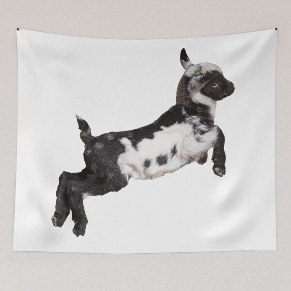 Item preview, Bouncing Baby Goat III designed and sold by OryPhotography.