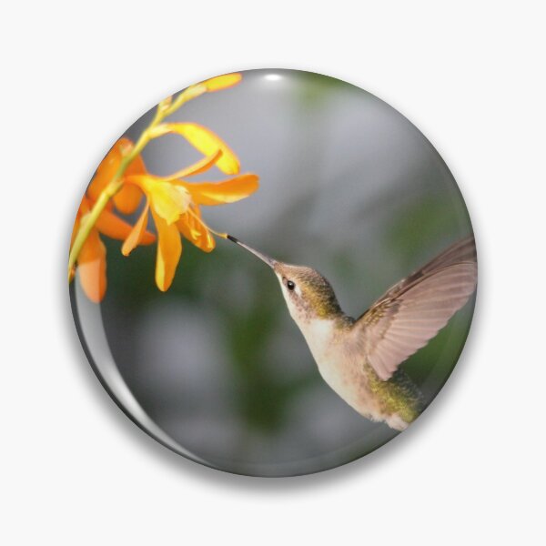 Artikelvorschau, Female Ruby-Throated Hummingbird entworfen und verkauft von JMcCombie.