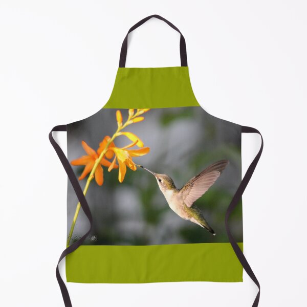 Aperçu de l'œuvre Female Ruby-Throated Hummingbird créée et vendue par JMcCombie.