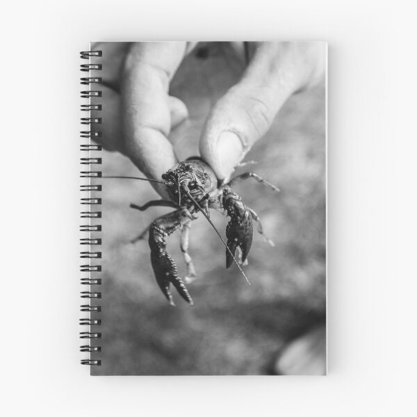Artikelvorschau, Treffen Sie George den Crawdad entworfen und verkauft von Rebecca Bryson.