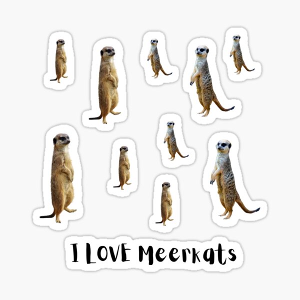 Ich liebe Erdmännchen Sticker