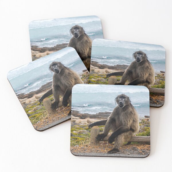 Item preview, Sweety baboon designed and sold by ElenaCunami.
