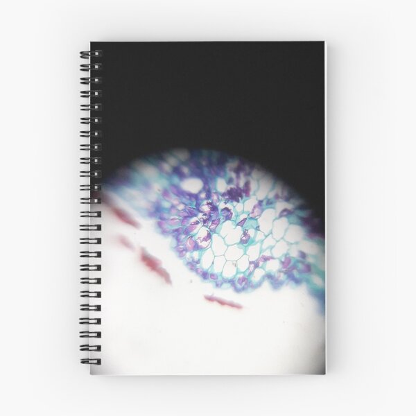 Item preview, PLANT CELL UNDER MICROSCOPE | NATURE | ORGANIC SHAPE | LIGHT designed and sold by CeraRoss.