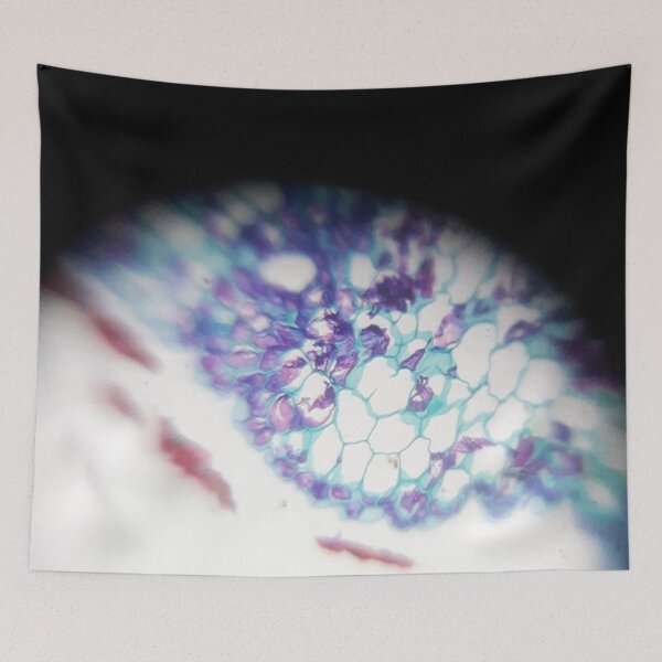 Item preview, PLANT CELL UNDER MICROSCOPE | NATURE | ORGANIC SHAPE | LIGHT designed and sold by CeraRoss.