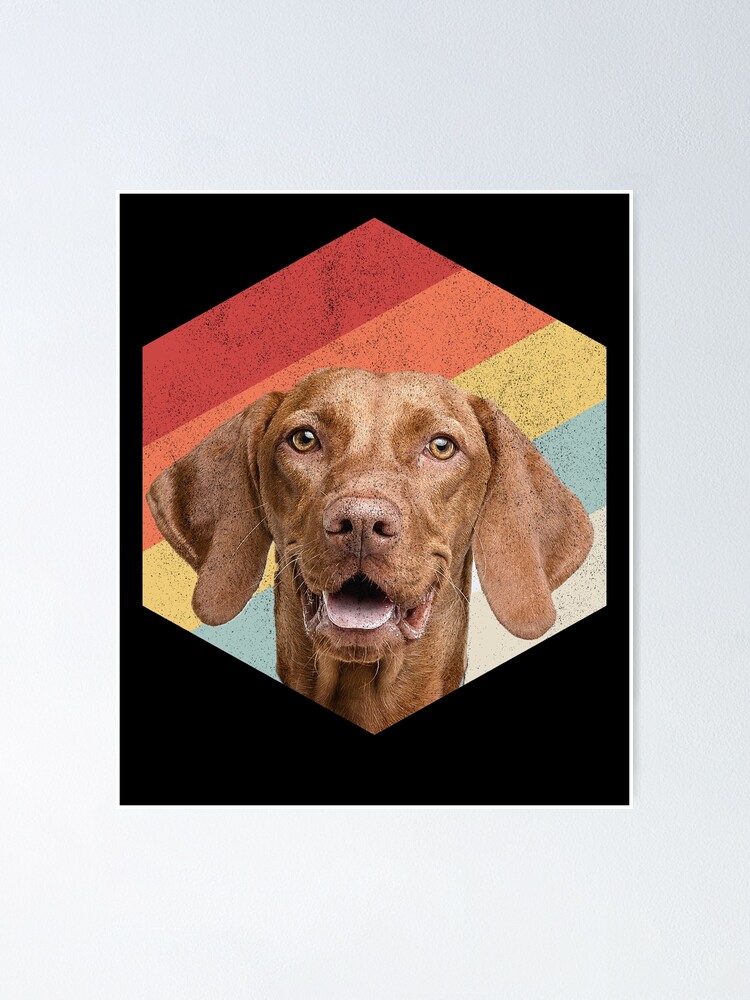 Vizsla gifts outlet