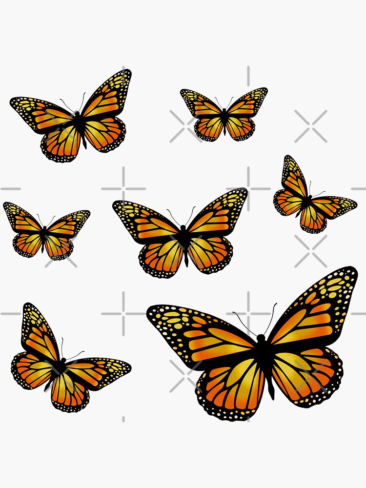 Monarch Butterfly Sticker For Sale By Annecatriona Redbubble 