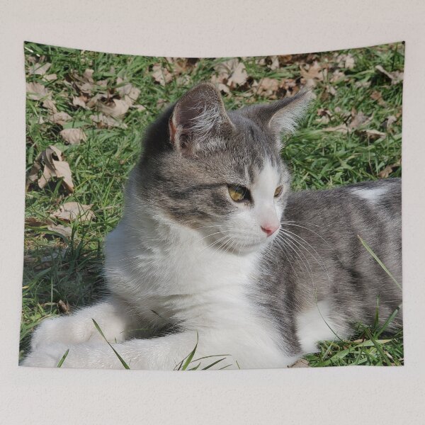 Item preview, Kitten - Cute Barn Kitten, Steve, in the Grass designed and sold by f2error.