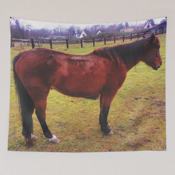 Item preview, Brown horse designed and sold by OMdesigns93.