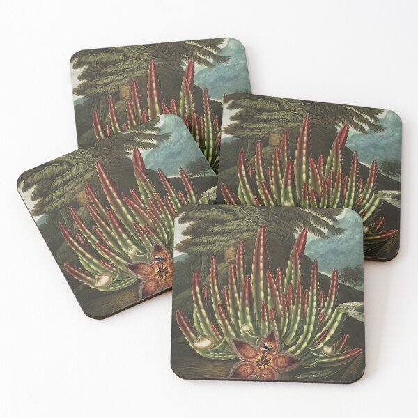 Item preview, Starfish Flower (1807) designed and sold by HomeStageStudio.
