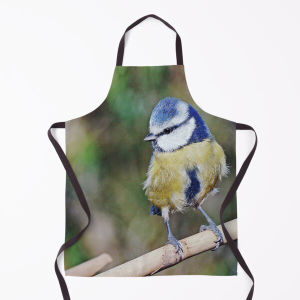 Item preview, r1240/ New Finition 2021 : " Mésange Bleu " 12 (c)(h) Olavia-Olao / Okaio Créations designed and sold by o.okaïo.