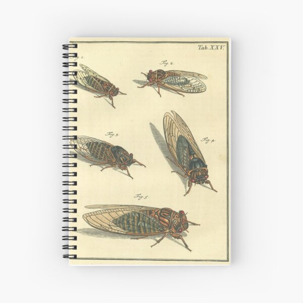Cicada Print Spiral Notebook
