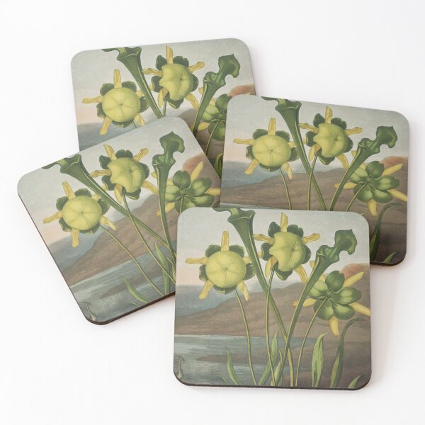 Item preview, Pitcher Plants (1807) designed and sold by HomeStageStudio.