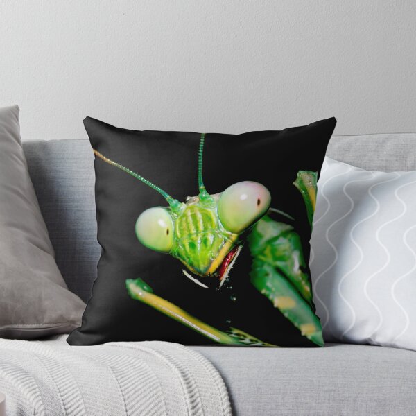 Item preview, Looking at you Mantia designed and sold by Tramontane Designs.
