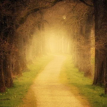 Imagen de la obra Path de Patternsonly