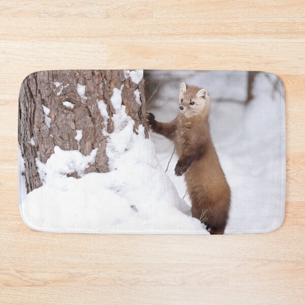 Item preview, American Marten designed and sold by mlorenz.