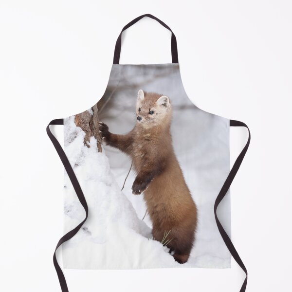 Item preview, American Marten designed and sold by mlorenz.