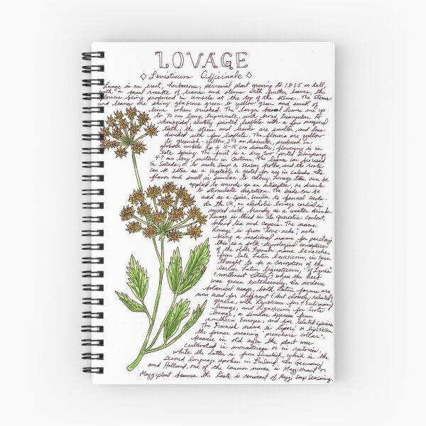 Item preview, Pretty Plants Lovage designed and sold by Caroline Bialick.