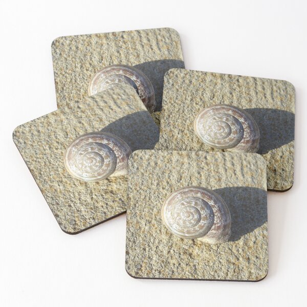 Aperçu de l'œuvre Coquille d'escargot fossile sur le sable au soleil créée et vendue par shabadakid.