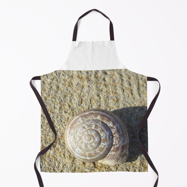 Aperçu de l'œuvre Coquille d'escargot fossile sur le sable au soleil créée et vendue par shabadakid.