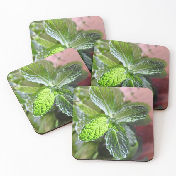 Item preview, Mint designed and sold by Martina Nicolls.