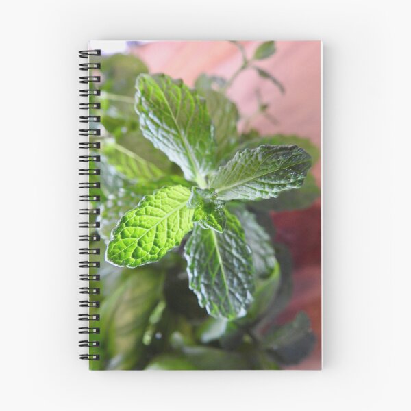 Item preview, Mint designed and sold by Martina Nicolls.