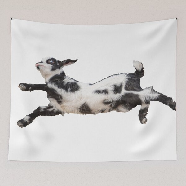 Item preview, Bouncing Baby Goat IV designed and sold by OryPhotography.