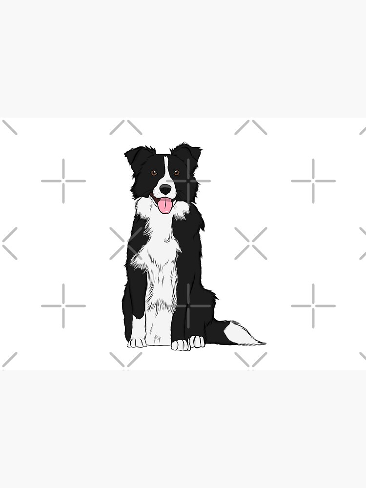 Border Collie by rmcbuckeye