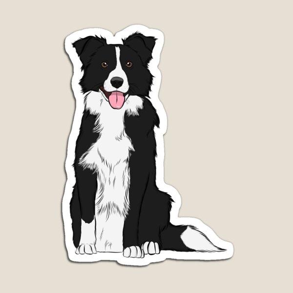 Black and White Collie  Magnet 
