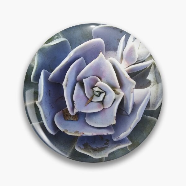 Item preview, Dappled Blue and Green Succulent designed and sold by homotropic.